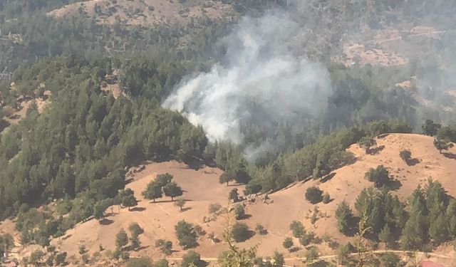 Adana'da orman yangınına müdahale eden helikopter suya düştü