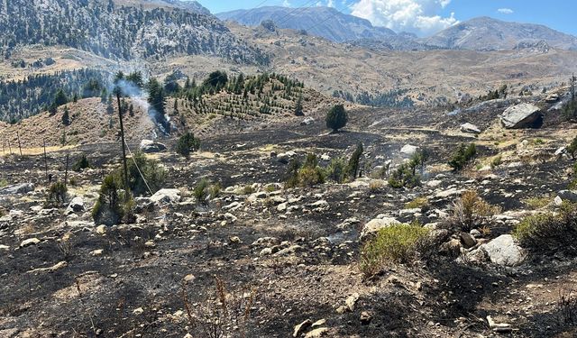 Alanya'da makilik alanda çıkan yangın kontrol altına alındı