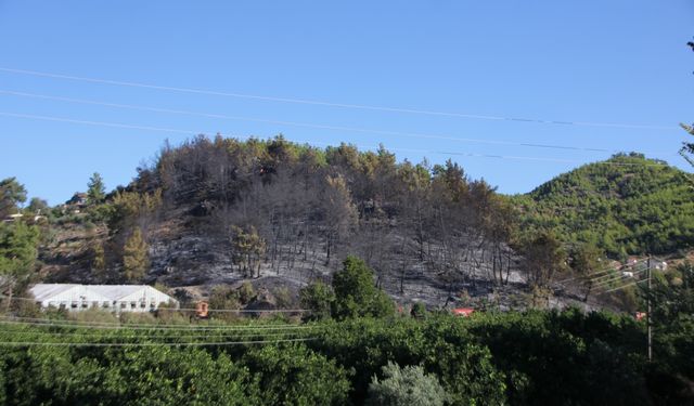 Antalya'da çıkan arazi yangını söndürüldü