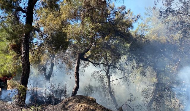 Antalya'da çıkan orman yangını söndürüldü