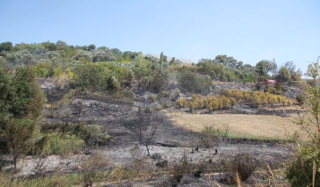 Antalya'da makilikten ormanlık alana ve bahçelere sıçrayan yangın söndürüldü