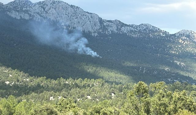 Antalya'nın Akseki ilçesinde orman yangını çıktı