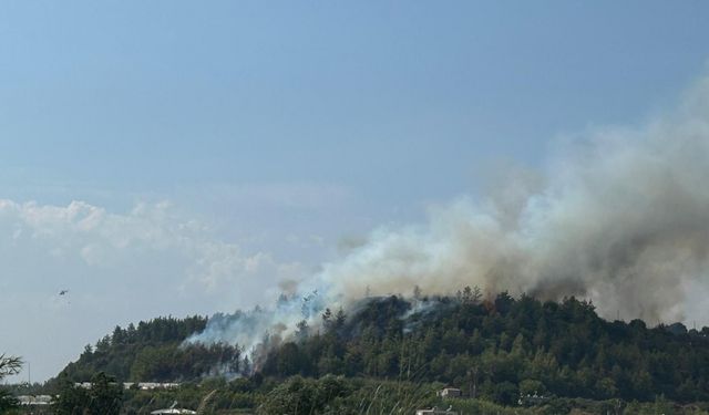 Antalya'nın Aksu ilçesinde orman yangını çıktı