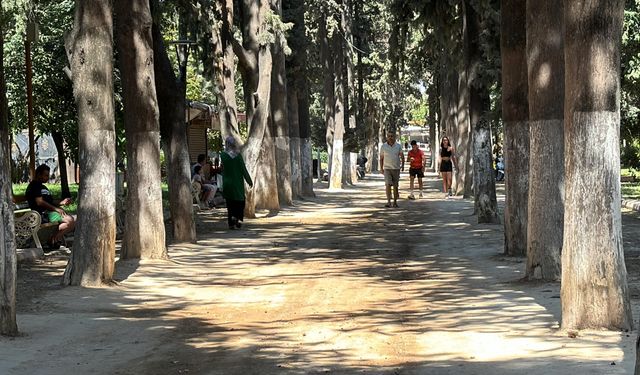 Doğu Akdeniz'de yüksek sıcaklık ve nem oranının etkisi sürüyor