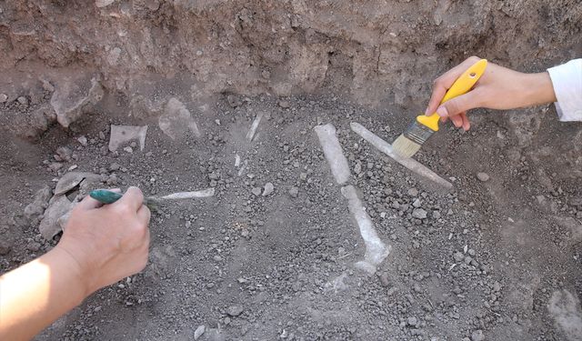 Domuztepe Höyüğü'nde 7 bin 600 yıllık çocuk ve bebek iskeletleri bulundu