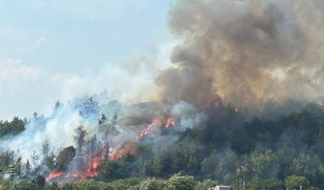 GÜNCELLEME - Antalya'nın Aksu ilçesinde çıkan orman yangını kontrol altına alındı