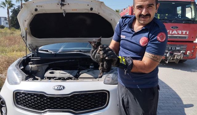 Hatay'da cipin motor kısmına sıkışan kedi yavrusunu itfaiye kurtardı