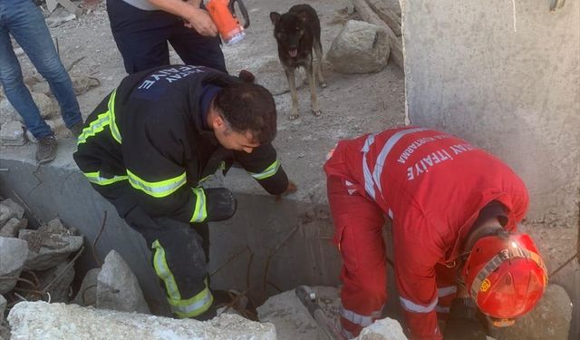 Hatay'da hasarlı evin yıkıntısında mahsur kalan 5 köpek yavrusu kurtarıldı