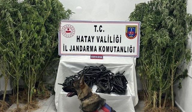 Hatay'da uyuşturucu ve kaçakçılık operasyonlarında 37 şüpheli yakalandı