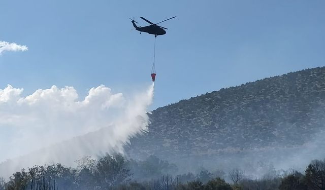 Isparta'da çıkan orman yangınına müdahale ediliyor