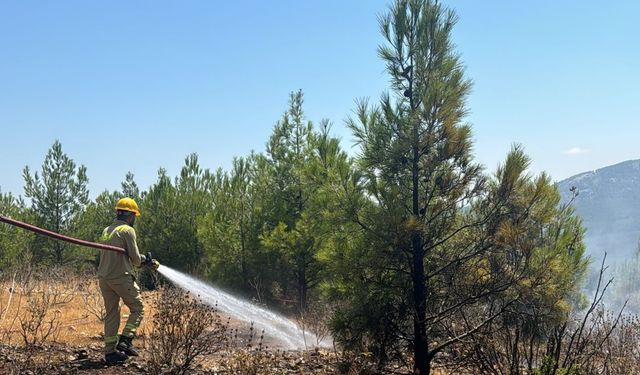 Mersin'de 4 noktada çıkan orman yangınları söndürüldü