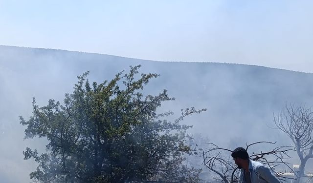 Mersin'de bahçeden ormana sıçrayan yangın kontrol altına alındı