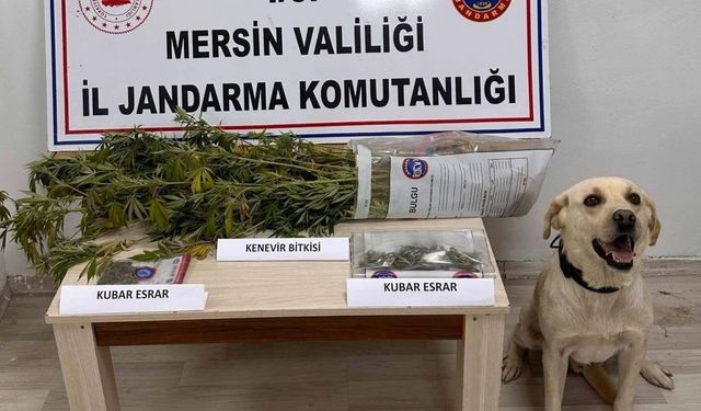 Mersin'de düzenlenen uyuşturucu operasyonunda 7 zanlı yakalandı