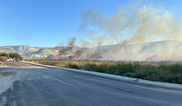 Mersin'de otluk alanda çıkan yangın söndürüldü