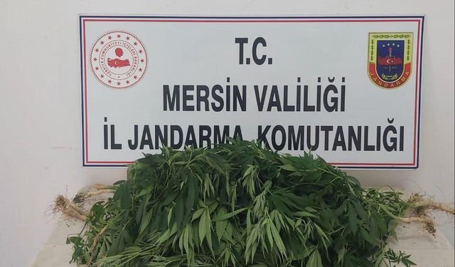 Mersin'de uyuşturucu operasyonunda yakalanan 5 zanlıdan 2'si tutuklandı