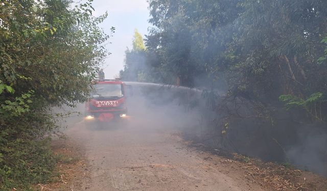 Osmaniye'deki orman yangını kontrol altına alındı