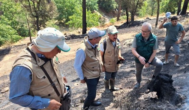 TARSİM'den Aydın ve Muğla'daki yangından etkilenen tarım alanlarını ziyaret