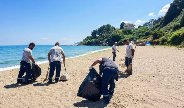 Karacabey Kurşunlu sahilinde örnek temizlik