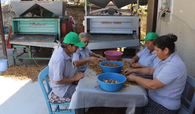 Muğla tarımı dünyaya açılıyor