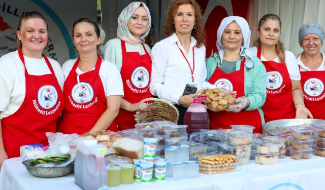 Sakarya'da Rumeli-Balkan rüzgârı Millet Bahçesi’nde esti