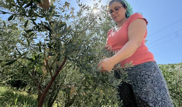 Çiftçilik yapan avukat kurduğu kooperatifle depremzede kadınlara destek oluyor