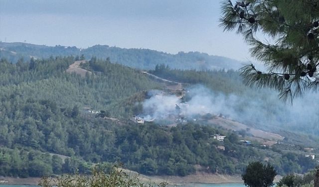 Adana'da ormanlık alanda yangın çıktı