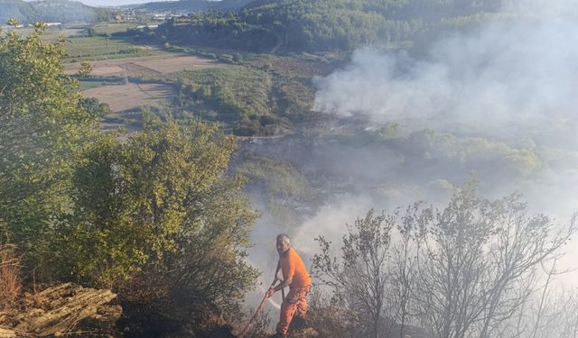 Antalya'da ormanlık alanda çıkan yangına müdahale ediliyor