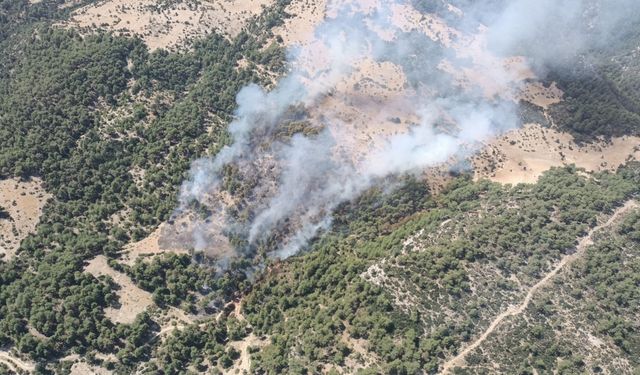 Antalya'nın Kaş ilçesinde orman yangını çıktı