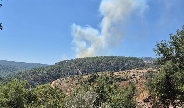 Antalya'nın Kaş ilçesindeki orman yangınıyla ilgili gözaltına alınan şüpheli serbest bırakıldı