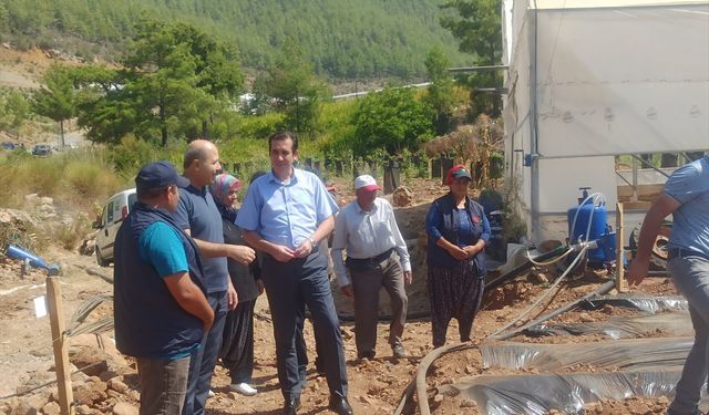 Bozyazı Kaymakamı Tuncay Topsakaloğlu'ndan çilek üreticisine ziyaret