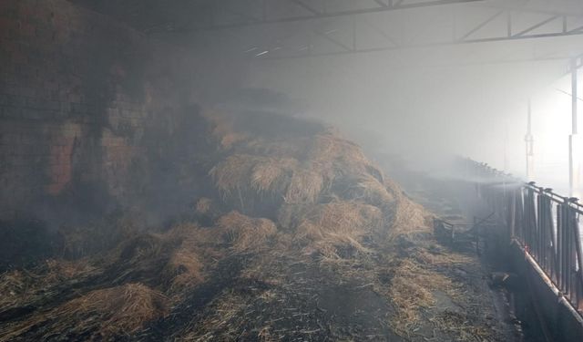 Burdur'da çıkan yangında 250 saman balyası zarar gördü