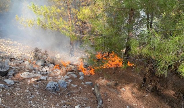 GÜNCELLEME - Antalya'nın Kaş ilçesinde çıkan orman yangınına müdahale ediliyor