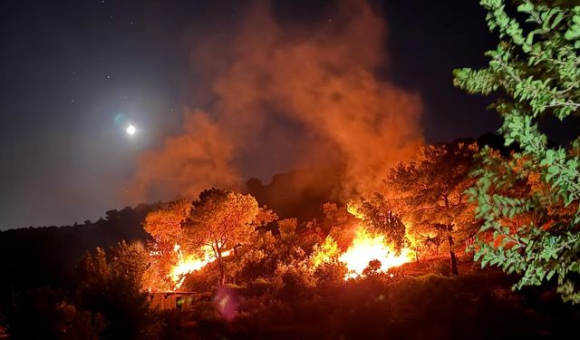 Hatay'da çıkan orman yangını söndürüldü