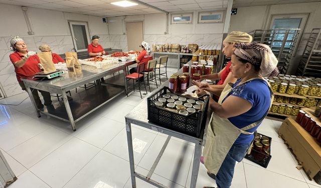 Hatay'da depremzede çiftçilerin ürünleri kadınların elinde katma değere dönüşüyor