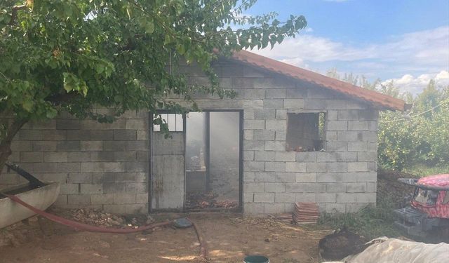 Isparta'da besihanede çıkan yangında 5 kişi yaralandı, 3 hayvan telef oldu