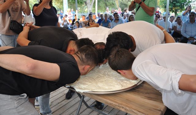 Mersin'de coğrafi işaretli Silifke yoğurdu mayalama ve yeme yarışması yapıldı