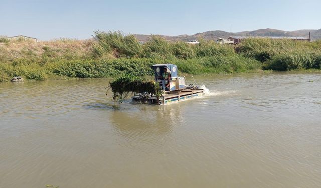 HBB’DEN SU SÜMBÜLÜ İLE KARARLI MÜCADELE