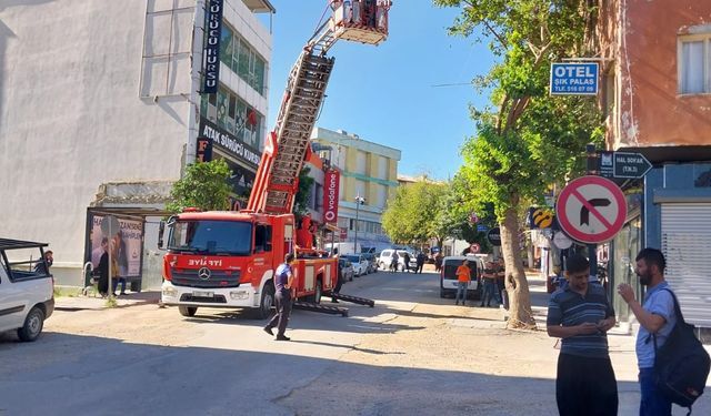 Adana'da ağaçta mahsur kalan kediyi itfaiye ekibi kurtardı