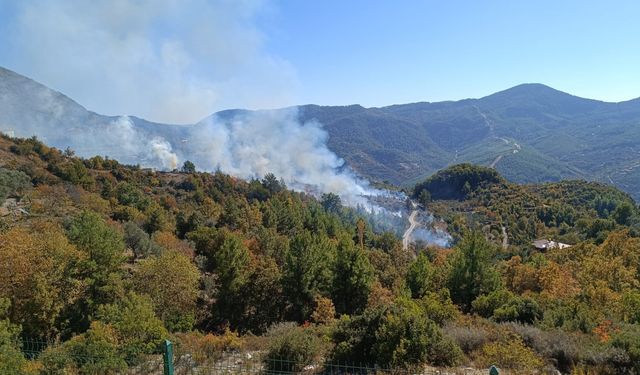 Alanya'da zirai alanda çıkan yangın kontrol altına alındı