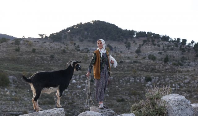 Antik kentin 45 yıllık çobanı: Yörük Fatma