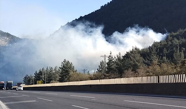 GÜNCELLEME - Mersin'de ormanlık alanda çıkan yangın kontrol altına alındı