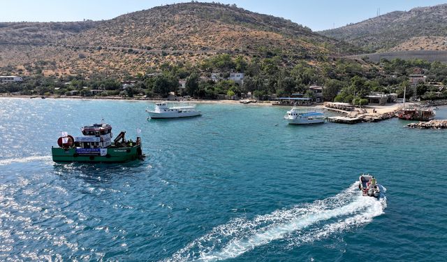 Mersin Körfezi'nde deniz yüzeyinde biriken atıklar toplandı