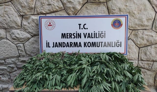 Mersin'de uyuşturucu operasyonunda 3 zanlı yakalandı