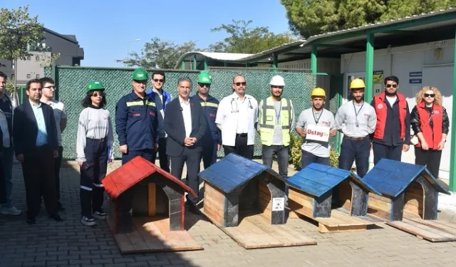 Bursa Gemlik'te patili canlar koruma altında