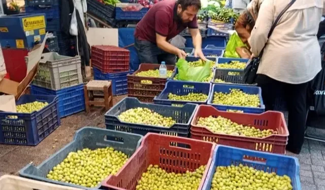 Bursa Tuz Pazarı’nda kurmalık zeytin satışı başladı