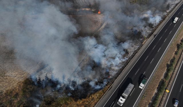 Adana'da ağaçlık alanda çıkan yangın söndürüldü