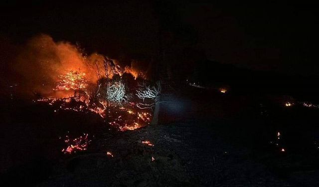 Hatay'da ormanlık alanda çıkan yangın söndürüldü