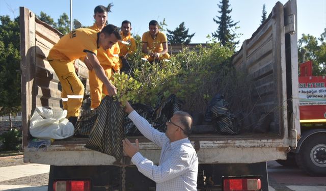 Mersin Bozyazı'da vatandaşlara fidan dağıtıldı