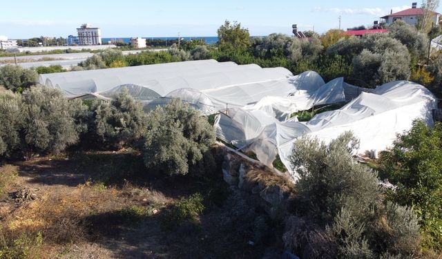 Mersin'de fırtına seralara zarar verdi