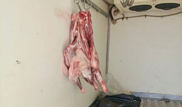 Hatay’da 34 Kilogram Bozulmuş Et Ele Geçirildi, İmha Edilecek